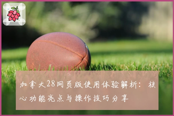 加拿大28网页版使用体验解析：核心功能亮点与操作技巧分享