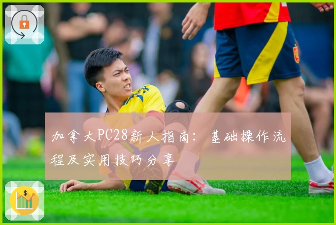 加拿大PC28新人指南：基础操作流程及实用技巧分享