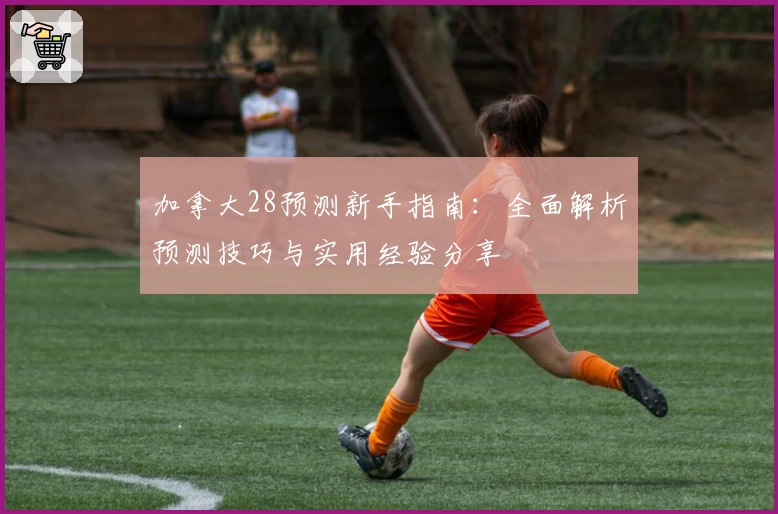 加拿大28预测新手指南：全面解析预测技巧与实用经验分享
