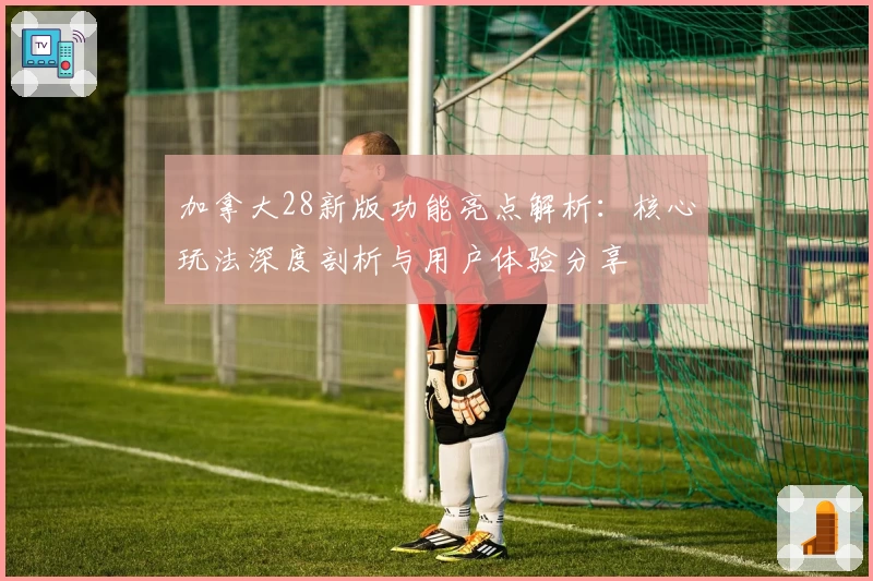 加拿大28新版功能亮点解析：核心玩法深度剖析与用户体验分享