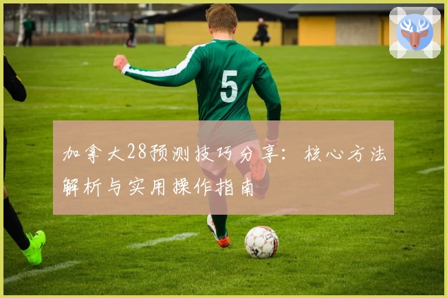 加拿大28预测技巧分享：核心方法解析与实用操作指南