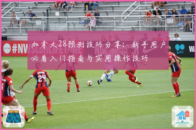 加拿大28预测技巧分享：新手用户必看入门指南与实用操作技巧