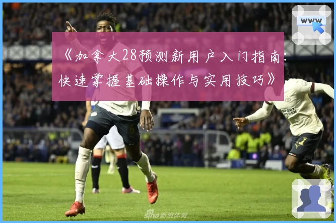 《加拿大28预测新用户入门指南：快速掌握基础操作与实用技巧》