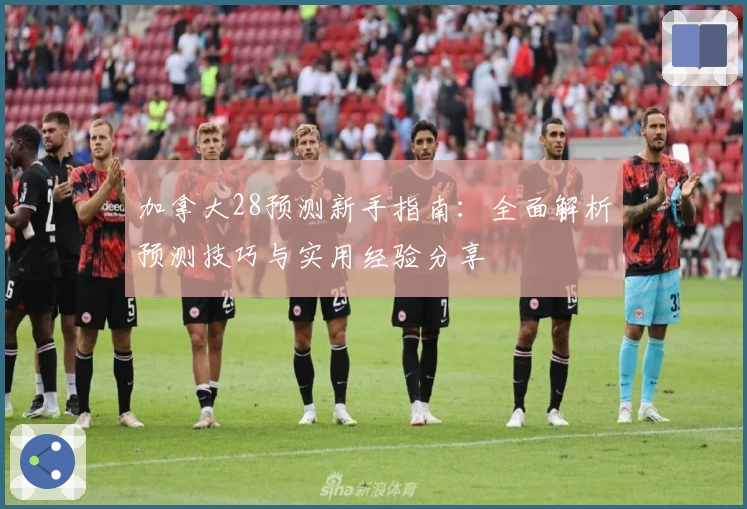 加拿大28预测新手指南：全面解析预测技巧与实用经验分享