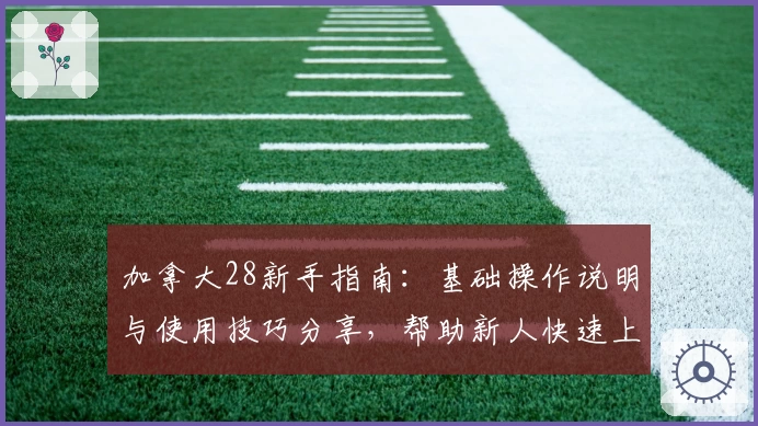 加拿大28新手指南：基础操作说明与使用技巧分享，帮助新人快速上手平台核心功能