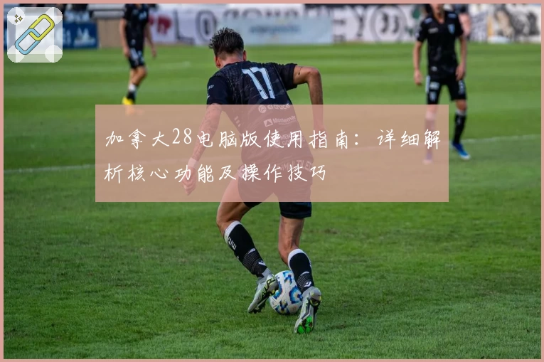 加拿大28电脑版使用指南：详细解析核心功能及操作技巧