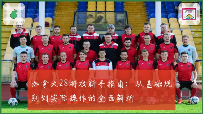 加拿大28游戏新手指南：从基础规则到实际操作的全面解析