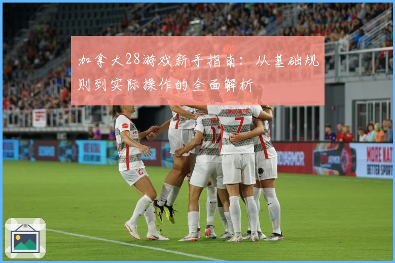 加拿大28游戏新手指南：从基础规则到实际操作的全面解析