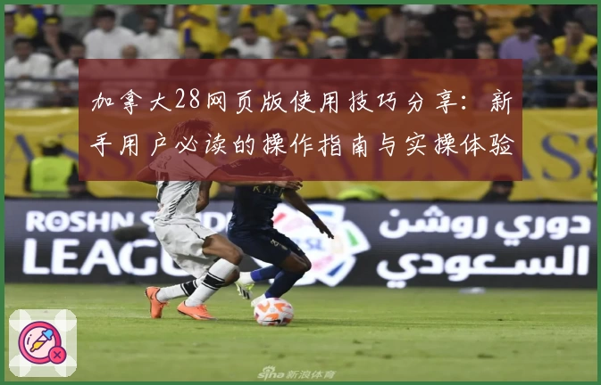 加拿大28网页版使用技巧分享:新手用户必读的操作指南与实操体验解析