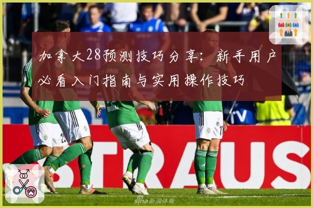 加拿大28预测技巧分享：新手用户必看入门指南与实用操作技巧