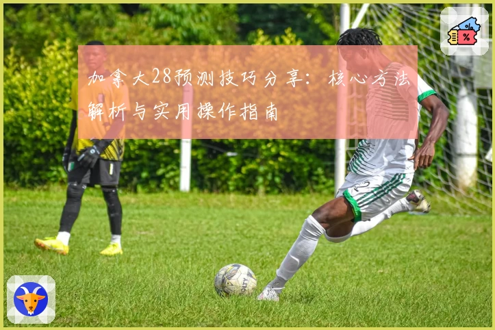 加拿大28预测技巧分享：核心方法解析与实用操作指南