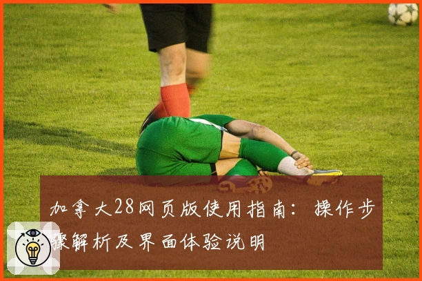 加拿大28网页版使用指南：操作步骤解析及界面体验说明