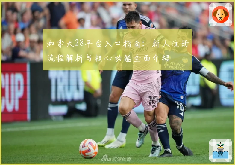 加拿大28平台入口指南：新人注册流程解析与核心功能全面介绍