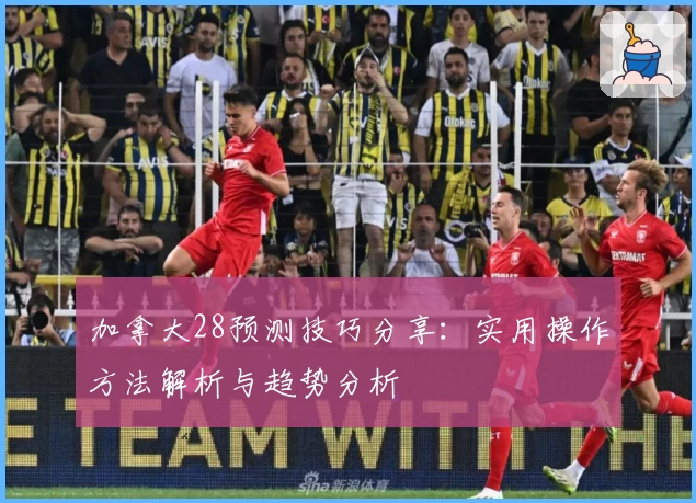 加拿大28预测技巧分享：实用操作方法解析与趋势分析